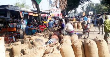 দিনাজপুরে বাজারে আসছে আগাম ধান, দামে খুশি কৃষক
