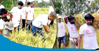 কৃষকের ডাকে সাড়া দিয়ে ধান কেটে ঘরে তুলে দিল ছাত্রলীগ