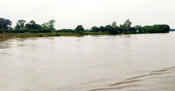 বিপৎসীমা ছুঁই ছুঁই দিনাজপুরের প্রধান ৩ নদীর পানি