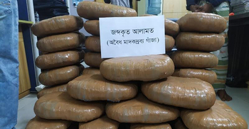 ব্রাহ্মণবাড়িয়া থেকে ১১৪ কেজি গাঁজা ঢাকায় এনে বিক্রির সময় ধরা
