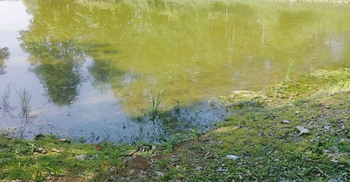 লক্ষ্মীপুরে নানার বাড়িতে বেড়াতে এসে দুই নাতির মৃত্যু