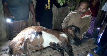প্রতিহিংসায় ছাগল হত্যা