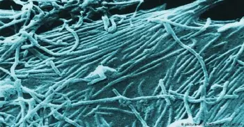 Ebola: Congo declares new epidemic