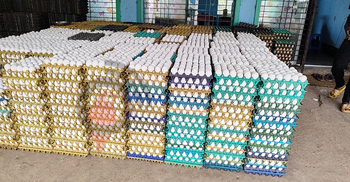 রাজশাহীতে আরও বাড়তে পারে ডিমের দাম