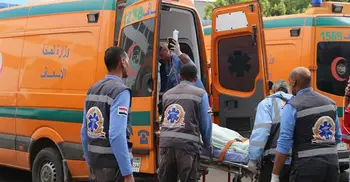 Egypt road accidents kill 28 including tourists
