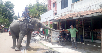 চাঁদা না দিলে সরে না হাতি