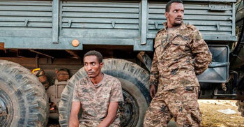 Ethiopia’s Tigray crisis: PM claims capture of regional capital Mekelle