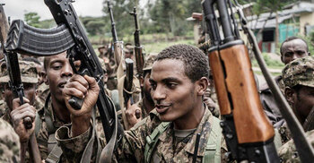 Ethiopia urges ex-soldiers to join fight against Tigray rebels
