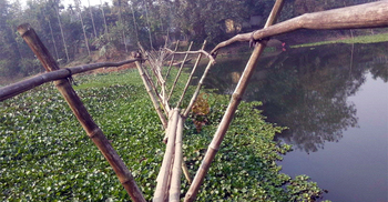 ভাঙাচোরা সাঁকোতেই ভরসা ৭ গ্রামবাসীর