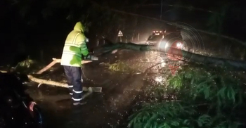 ফরিদপুরে দুই মহাসড়কে যানচলাচল স্বাভাবিক