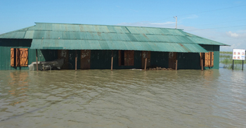 ফরিদপুরে ৫৮টি স্কুল প্লাবিত, দিশেহারা চরাঞ্চলবাসী