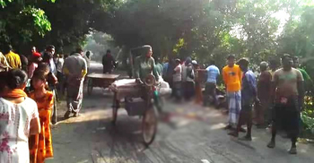 ফরিদপুরে ভ্যান-নসিমনের সংঘর্ষে যুবক নিহত