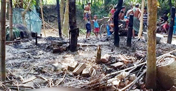 কয়েলের আগুনে পুড়ল ৪ গরু