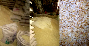 গুদামের ভালো চালের সঙ্গে ২০ টন পচা চাল মেশালেন সরকারি কর্মকর্তা