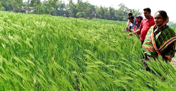 কৃষি ও কৃষকের জন্য কৃষি সাংবাদিকতা যে কারণে জরুরি
