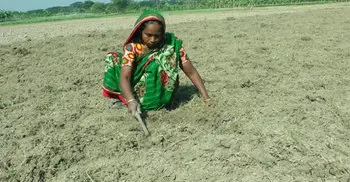 Producing vermicompost makes Fatema self-reliant