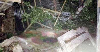 চুয়াডাঙ্গায় গাছচাপায় নারী নিহত