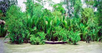 সুন্দরবনের অভয়ারণ্যে মাছ ধরার সময় ১৬ জেলে আটক