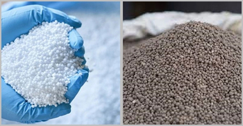 Govt to procure 1 lakh metric tons fertilizer