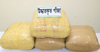 গাঁজাসহ স্বামী-স্ত্রী-শ্যালক গ্রেফতার