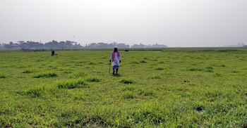 প্রভাবশালীরা পানি না দেয়ায় অনাবাদী থেকে গেল ৪০ বিঘা জমি