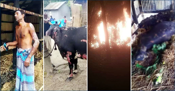 লৌ‌কিক না‌কি ভৌতিক