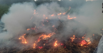 বজ্রপাতে মাঠেই পুড়লো কৃষকের ধান