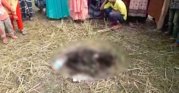 ফাঁকা মাঠে মিললো কিশোরীর পোড়ানো মরদেহ