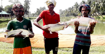 ১০ হাজার পরিবারের ভাগ্য বদল
