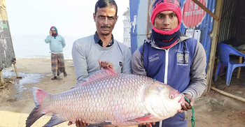 এক কাতলেই ভাগ্য খুলে গেল জেলের