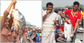 মেলা থেকে মাছ কিনে শ্বশুরবাড়ি যান জামাইরা