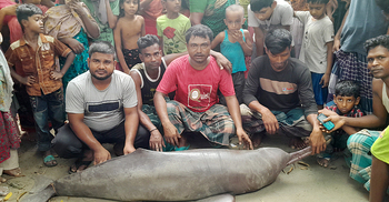 বড়শিতে ধরা পড়ল ১০০ কেজি ওজনের শুশুক