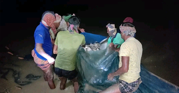 গভীর রাতে সরকারি পুকুরে অভিযান, লাখ টাকার মাছ উদ্ধার