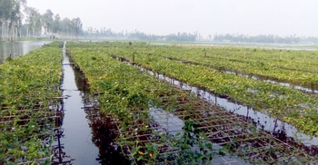 উত্তরাঞ্চলে আবারও চোখ রাঙাচ্ছে বন্যা