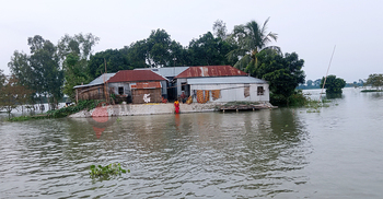 বিপৎসীমার নিচে যমুনার পানি