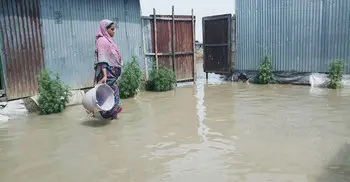 Flood situation worsens in Kurigram, Natore, Sherpur