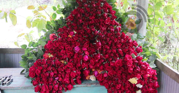 নওগাঁর ৩ গ্রাম থেকে অর্ধকোটি টাকার ফুল বিক্রির আশা