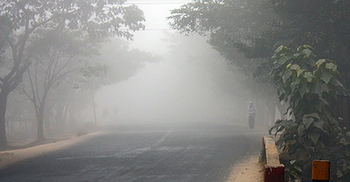 Mild to moderate cold wave may continue in four places