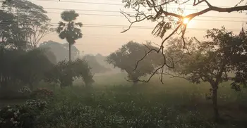 Foggy weather may continue