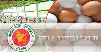 পোল্ট্রি-ডিম-দুধ উৎপাদন-সরবরাহ-পরিবহন নিশ্চিতে ডিসিদের নির্দেশনা