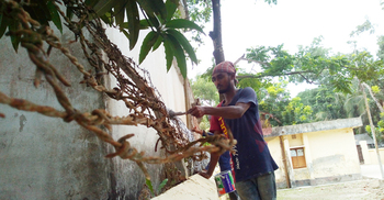 খাদ্য সংরক্ষণাগারের সংস্কার কাজ যেন অনিয়মের গুদাম