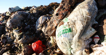 World making little progress on food waste, a big climate problem