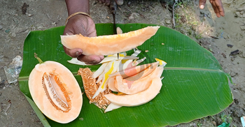 ‘রক মেলন’ চাষে হাসি আলিমের মুখে