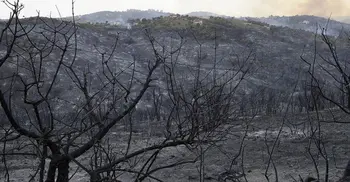 Algeria forest fires: At least 26 dead, minister says