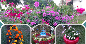 চা বাগানের বাংলো যেন ফুলের স্বর্গরাজ্য