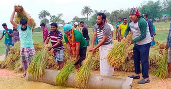কৃষকের ৭ বিঘা জমির ধান কেটে মাড়াই করে দিল স্বেচ্ছাসেবক লীগ