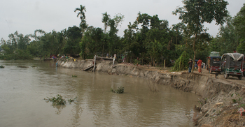 তিস্তার করাল গ্রাসে কাশিমবাজার যেন নতুন ‘ছিটমহল’