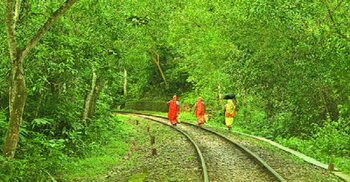 JS body recommends closure of all parks till Oct