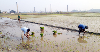 আবারও বুকভরে নিশ্বাস নিচ্ছে গাজীপুর সিটির মানুষ