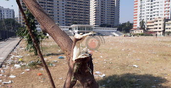 গোলাপবাগ মাঠের বেহাল দশা, ক্ষয়ক্ষতি নিরূপণ করছে ডিএসসিসি